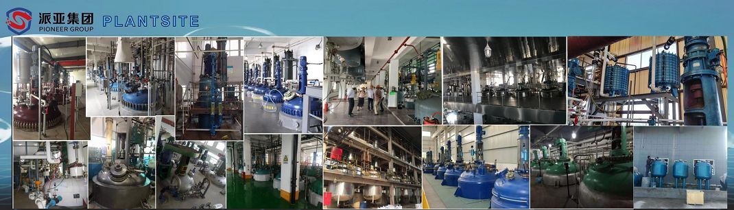 Fig-9 PLANTSITE(001)